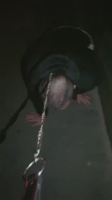 【樱桃大大】一场说走就走的遛狗 bf8426