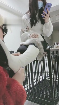 【时安】不听话的贱下场 bf4456