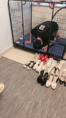 【安静大大】母女S耳光/踩踏/舔鞋【三视角版】 bf19913