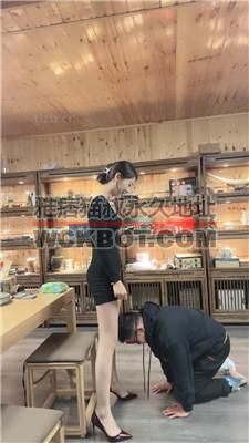 【沅芷大人】暴力耳光揪耳朵 JS240324-4