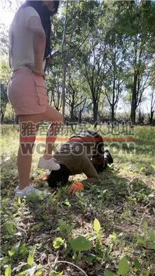 【喵主】户外小白鞋踩虐/狗爬犬化/鞭打/强制活埋 bf41460