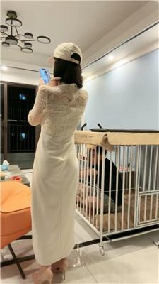 【黛樱】囚禁狗笼陪主人直播 JS240921-13