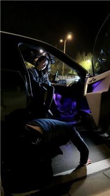 【水晶熊】户外遛狗犬化 bf59509